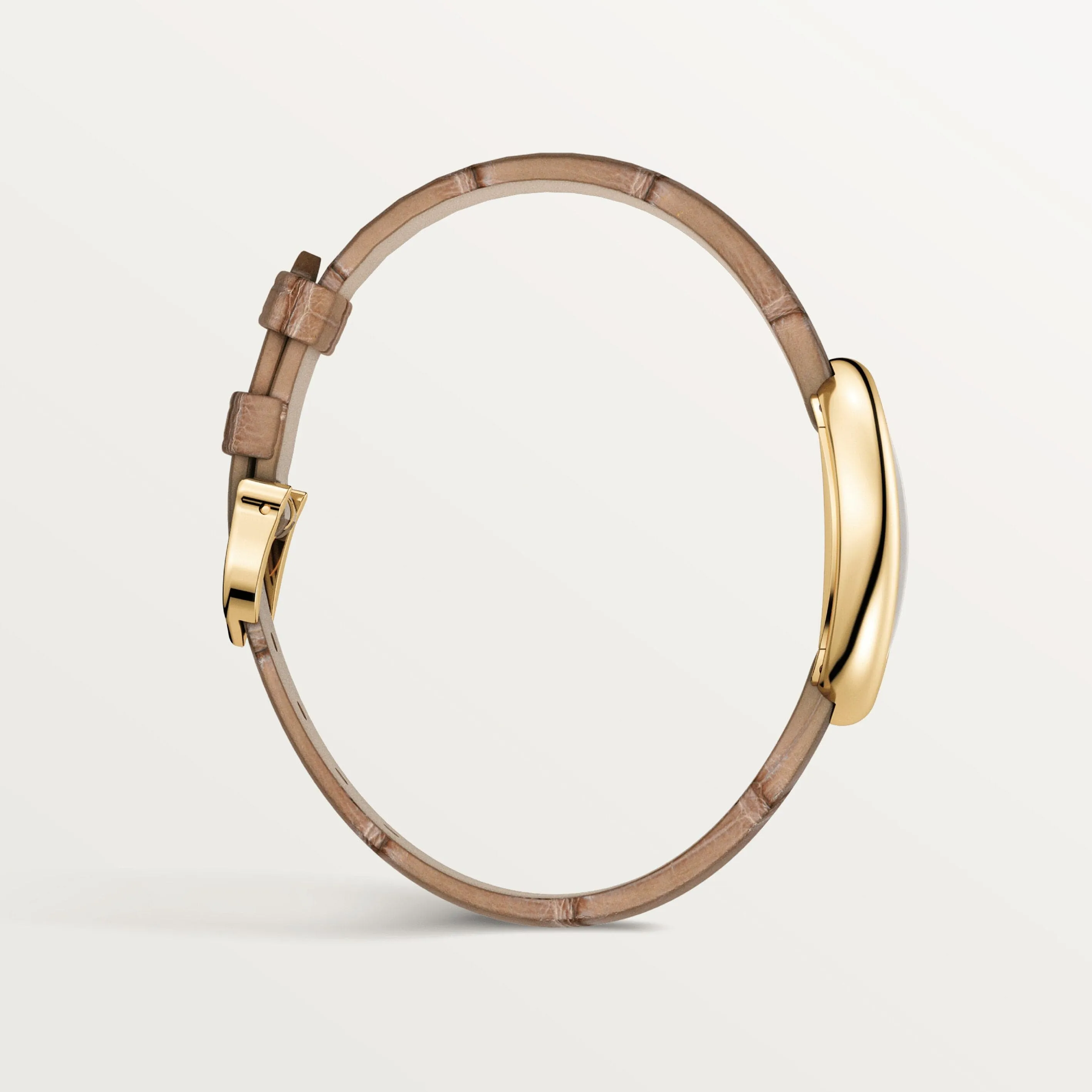 Baignoire watch WGBA0007