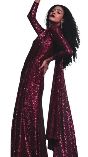 Deep Red Shimmering Sequined Sari Gown