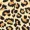 Multi Leopard Print Wide Leg Trousers