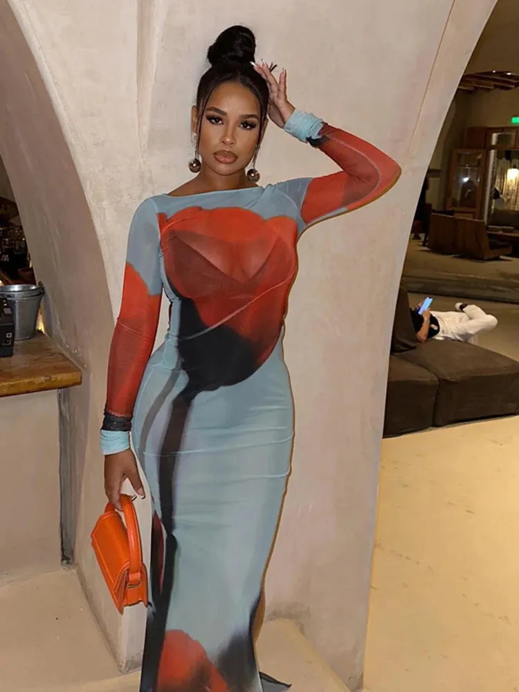 See Through Maxi Dress for Women Rose Print Sexy Mesh Summer Boutique Trend Skinny Stretchy Long Sleeve Side Split Maxi Bodycon Dress